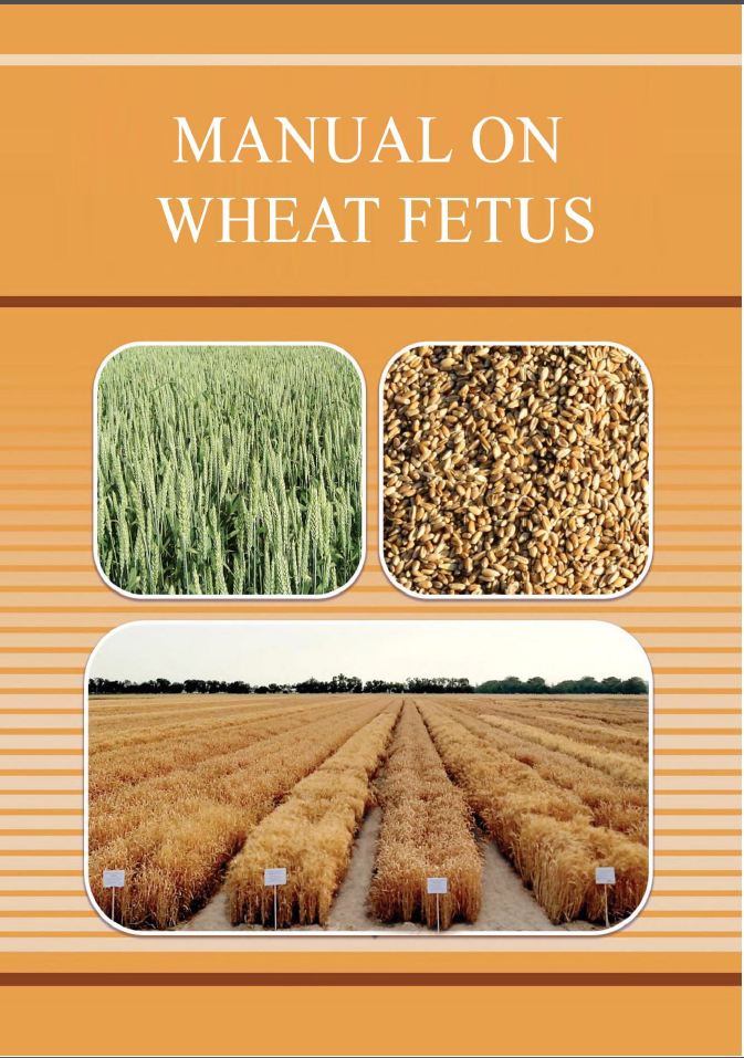 Manual on wheat fetus
