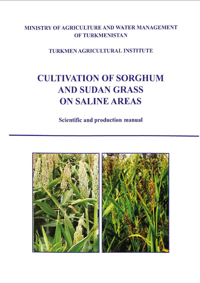 Cultivation of jugar and Sudan grass on saline areas