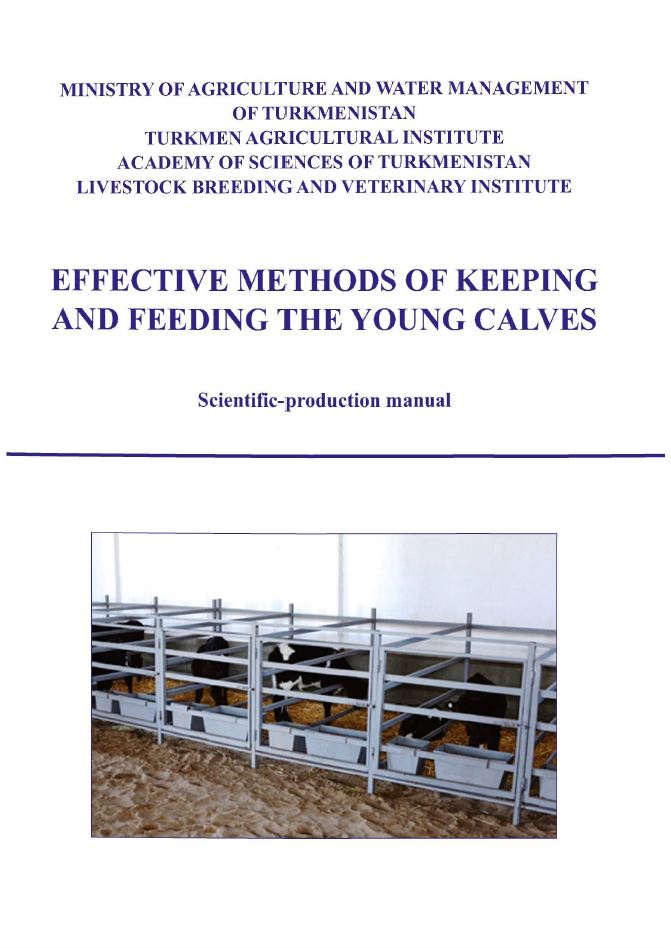 Effective methods of keeping and feeding young calves