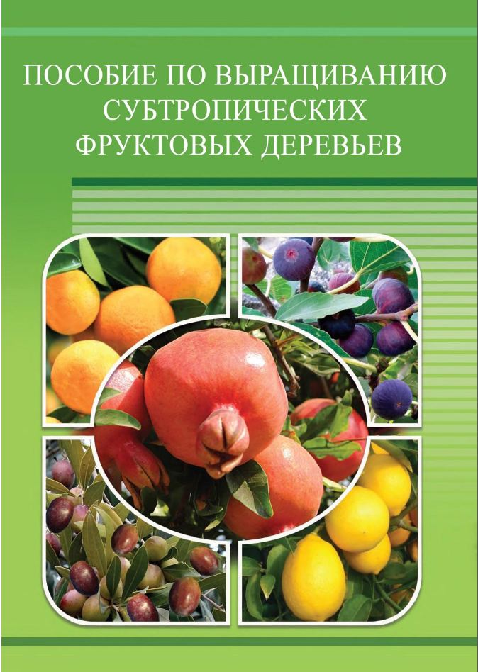 Пособие по выращиванию субтропических деревьев