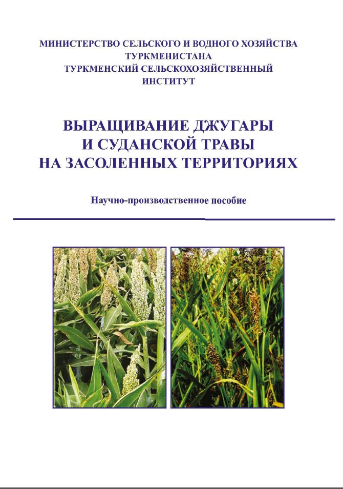 Выращивание джугары и суданской травы на засоленных территориях