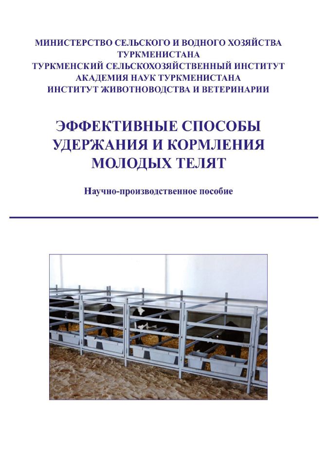 Эффективные методы удержания и кормления молодых телят
