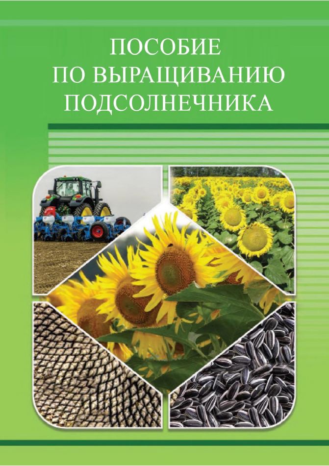 Пособие по выращиванию подсолнечника