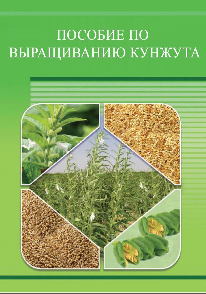 Пособие по выращиванию кунжута