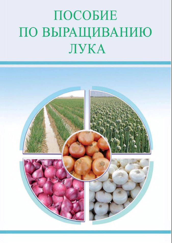 Пособие по выращиванию лука