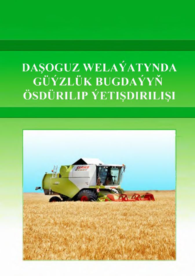 Daşoguz welaýatynda güýzlük bugdaýyň ösdürilip ýetişdirilişi