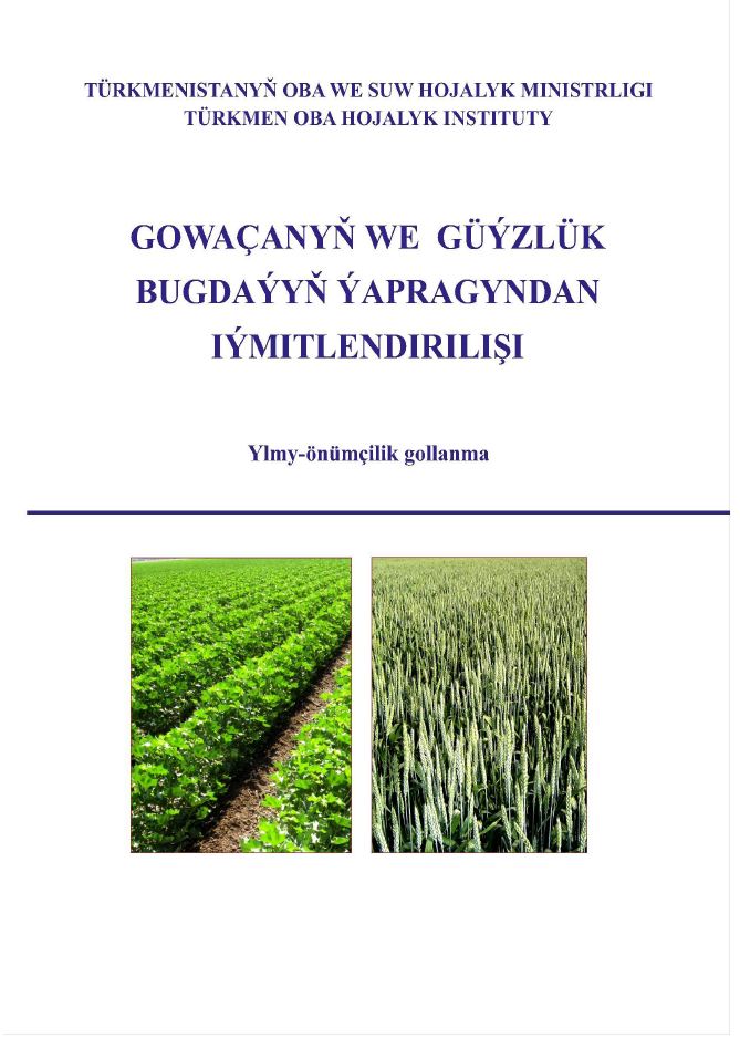 Gowaçanyň we güýzlük bugdaýyň ýapragyndan iýmitlendirilişi