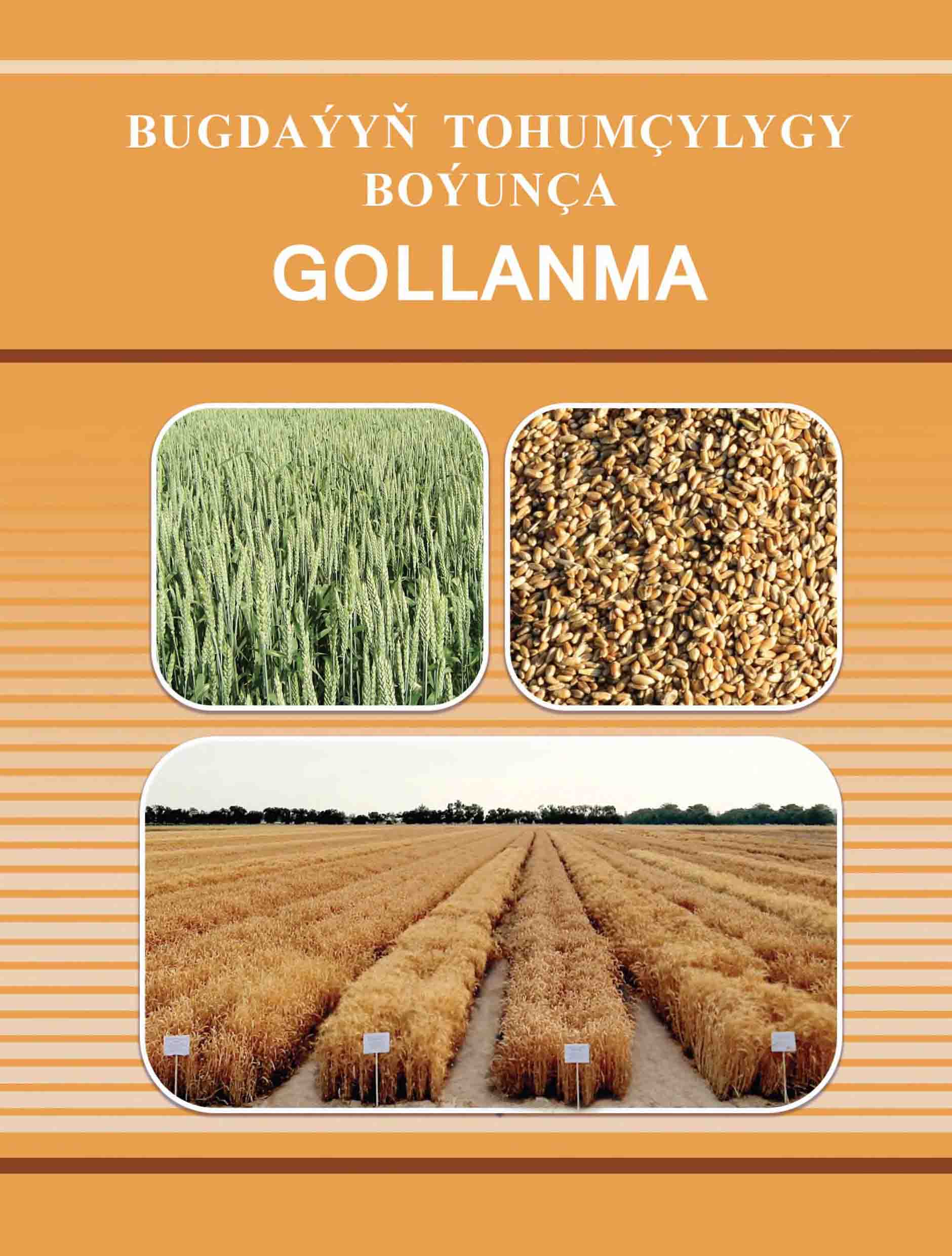 Bugdaýyň tohumçylygy boýunça gollanma