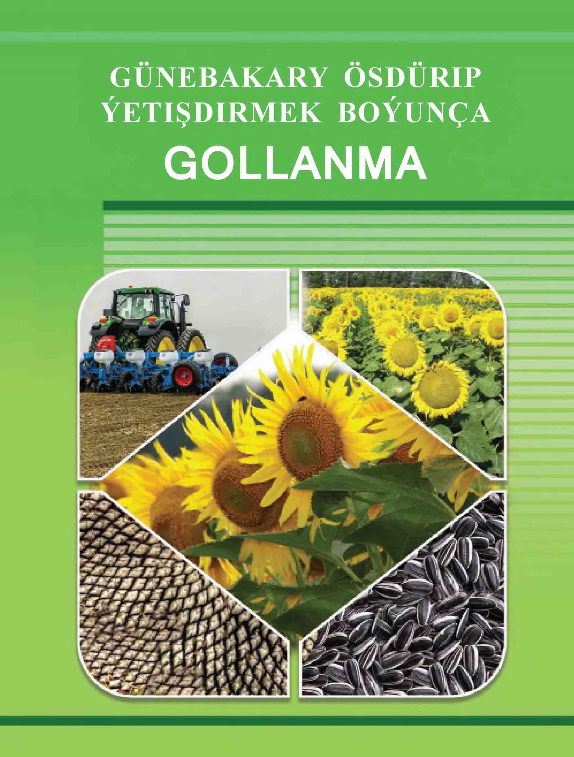 Günebakary ösdürip ýetişdirmek boýunça gollanma