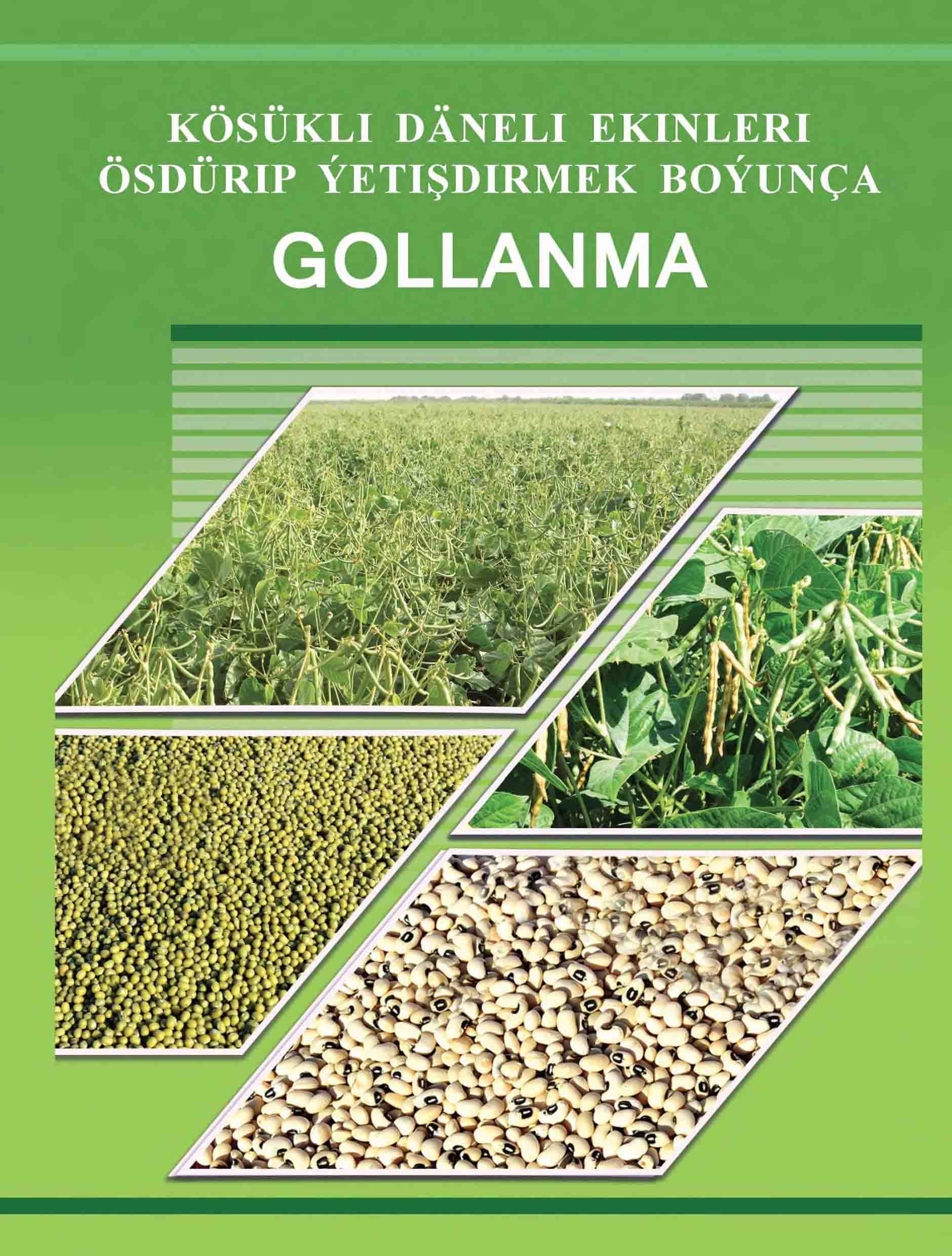 Kösükli däneli ekinleri ösdürilip ýetişdirmek boýunça gollanma