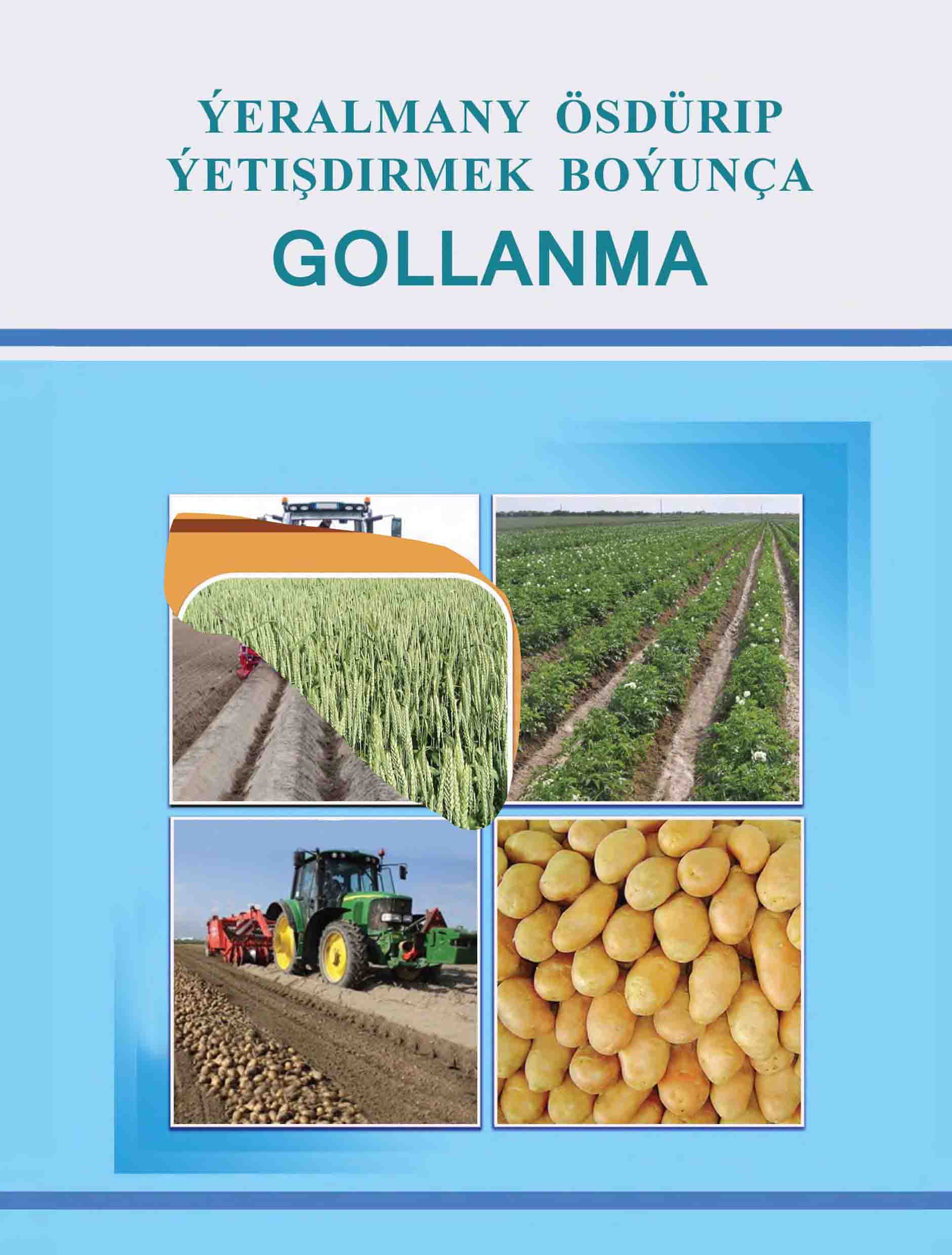 Ýeralmany ösdürip ýetişdirmek boýunça gollanma