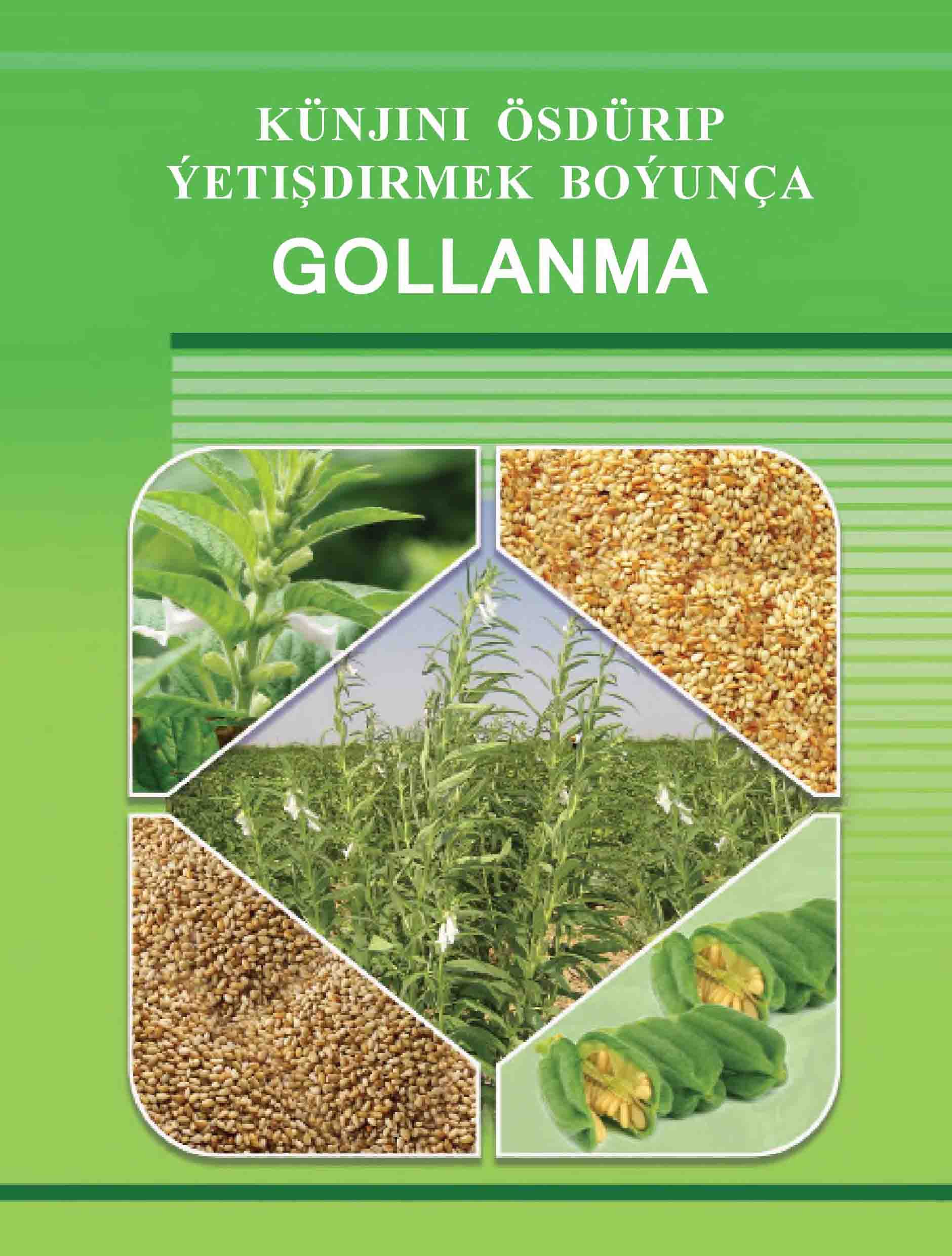 Künjini ösdürip ýetişdirmek boýunça gollanma