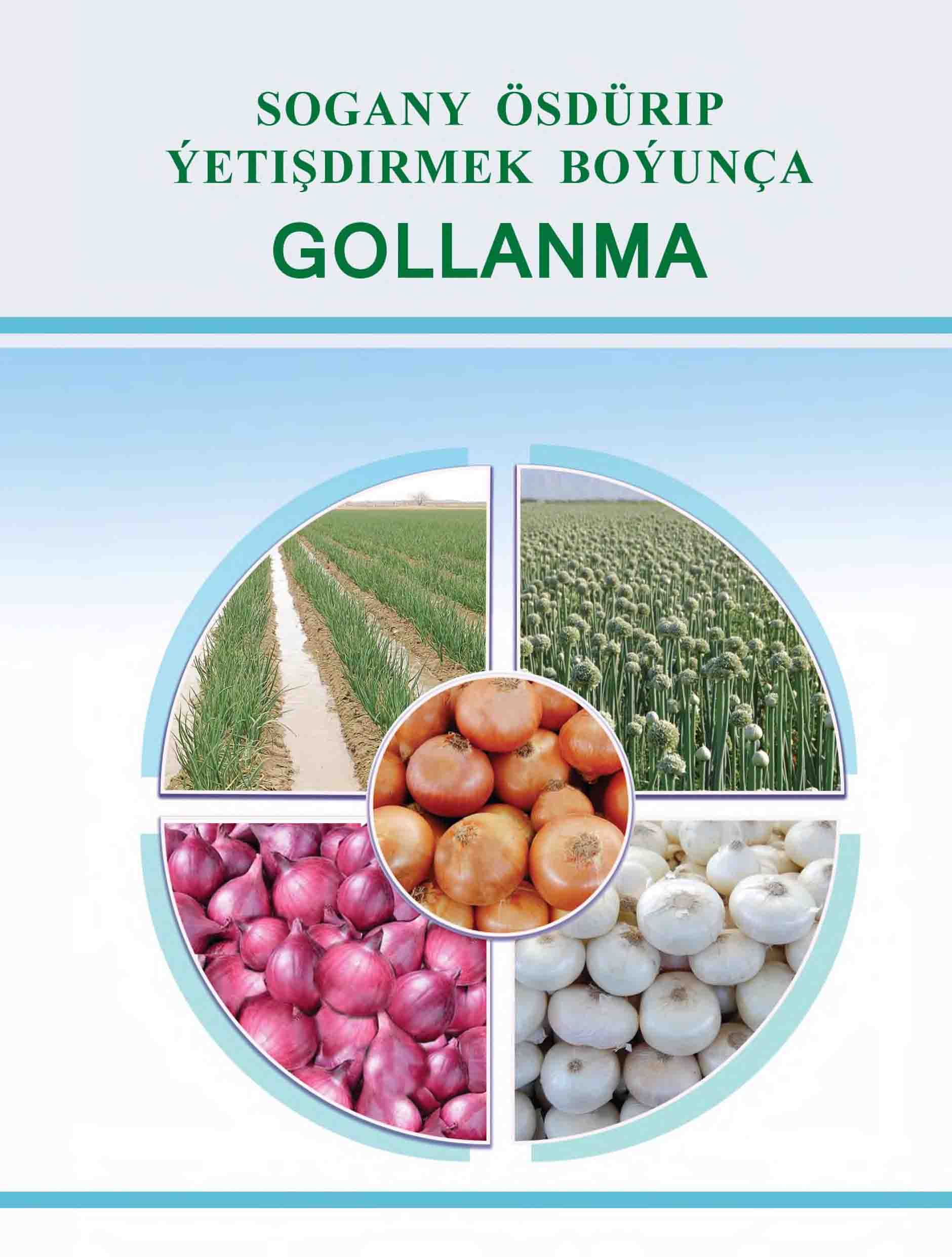 Sogany ösdürip ýetişdirmek boýunça gollanma