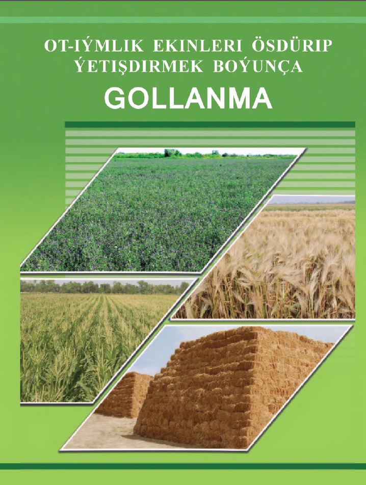 Ot-iýmlik ekinleri ösdürip ýetişdirmek boýunça gollanma